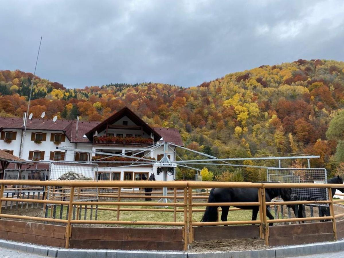 Popasul Craiului Villa Zărneşti Dış mekan fotoğraf